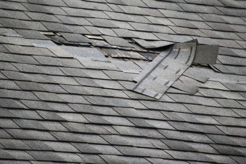 Repairing Shingle Damage